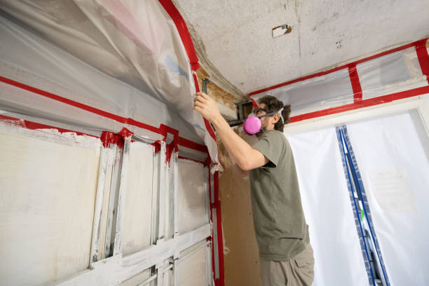 Best Black Mold Removal  in Pleasant Gap, PA