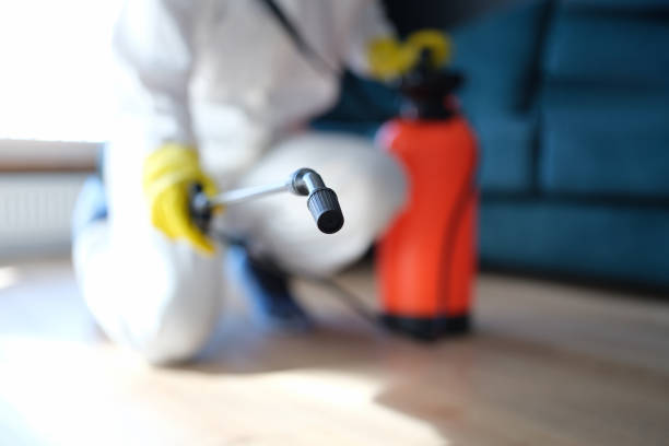 Best Black Mold Removal  in Pleasant Gap, PA