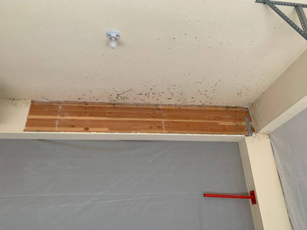 Best Mold Prevention Services  in Pleasant Gap, PA