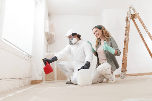 Environmental Consulting for Mold Prevention in Pleasant Gap, PA